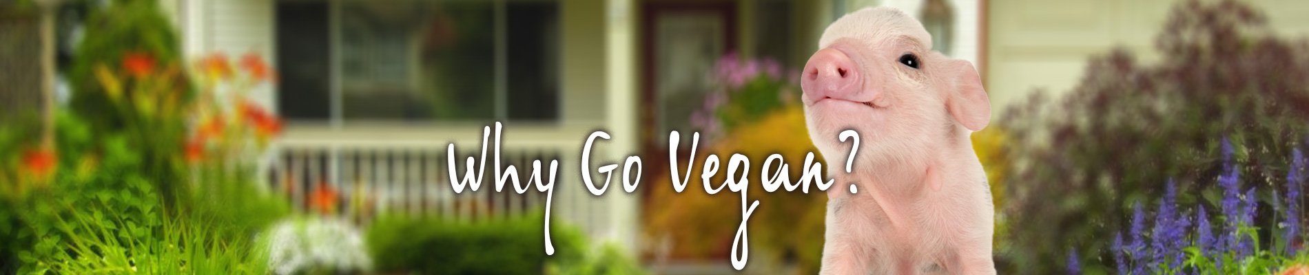 Why-Go-Vegan-Slider-1900x400