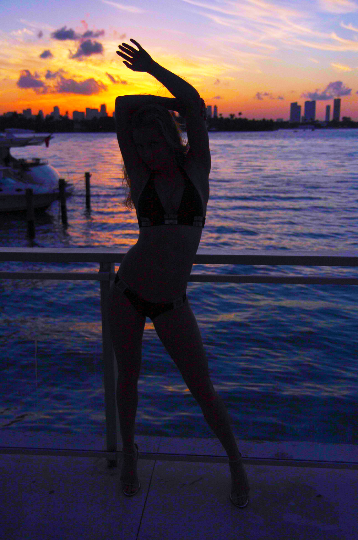 Sunset Silhouette | Vegan Fitness