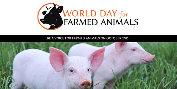 World-Day-for-Farmed-Animals-Fast