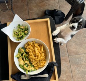 vegan meal for human and dog